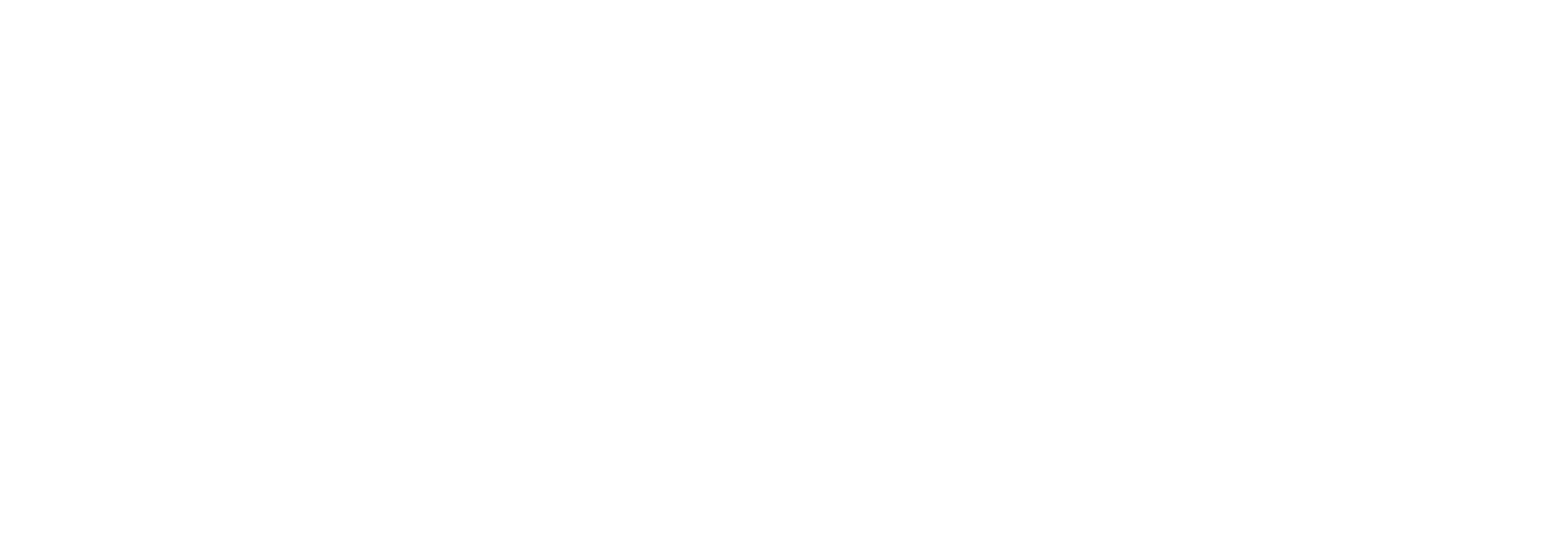 Digna Seguros